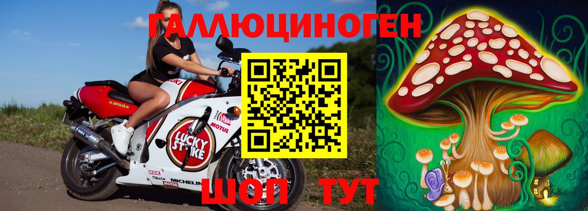 Псилоцибиновые грибы Cubensis Калуга